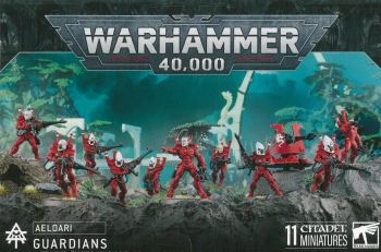 Aeldari Guardians