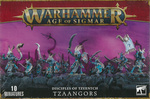 Disciples of Tzeentch Tzaangors
