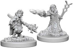 D&D Female Gnome Wizard - Nolzur's Miniature