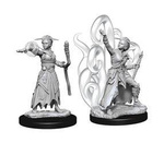 D&D Female Human Warlock - Nolzur's Miniature