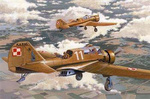 Mirage Hobby 481303 PZL - 23A Karaś 