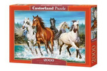 Puzzle 2000 Zew Natury (Castorland)