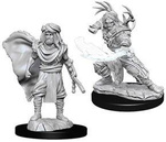 D&D Male Human Druid - Nolzur's Miniature