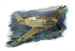 Hobby Boss 80209 P-40B/c "Hawk" - 81