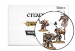 Beasts of Chaos Bullgors / Beastmen Minotaurs