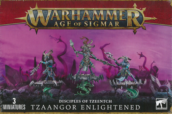 Disciples of Tzeentch Tzaangor Enlightened / Skyfires