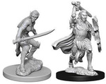 D&D Female Elf Fighter - Nolzur's Miniature
