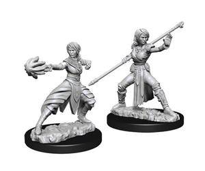 D&D Female Half-Elf Monk - Nolzur's Miniature