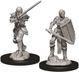 D&D Female Human Fighter - Nolzur's Miniature