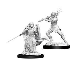 D&D Female Human Paladin - Nolzur's Miniature