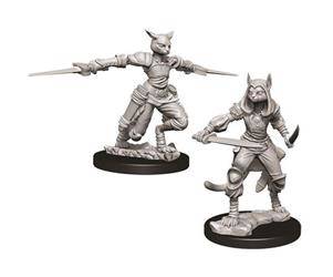 D&D Female Tabaxi Rogue - Nolzur's Miniature