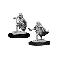 D&D Halfling Male Rogue - Nolzur's Miniature