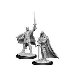 D&D Human Male Paladin - Nolzur's Miniature