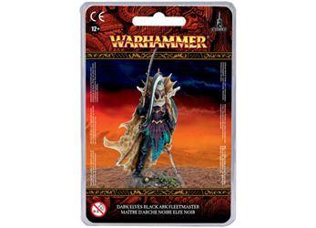 Dark Elves Black Ark Fleetmaster