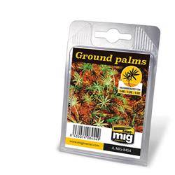 Ground palms - niskie palmy