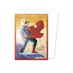 Koszulki Standard Dragon Shield Brushed Art Sleeves Superman 2 (100 sztuk)