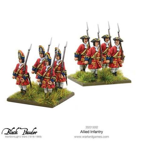 Black Powder Infantry of The Grand Alliance