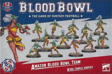 Blood Bowl Amazon Team - drużyna