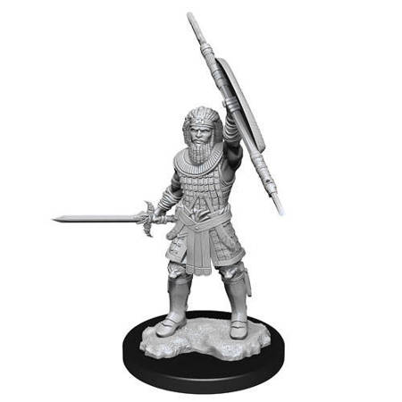 D&D Human Male Fighter - Nolzur's Miniature