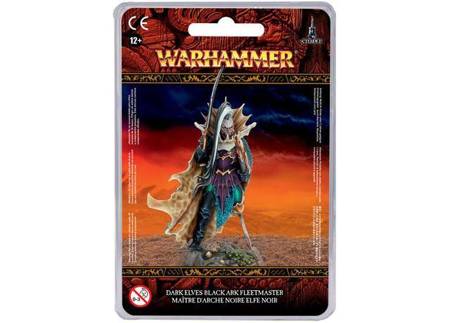 Dark Elves Black Ark Fleetmaster