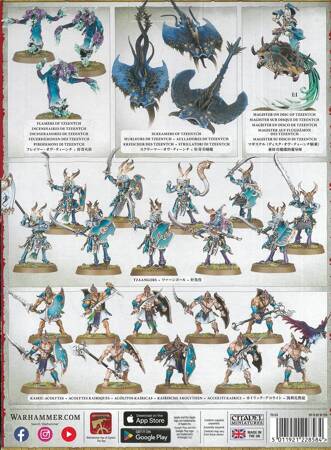 Disciples of Tzeentch Spearhead - zestaw