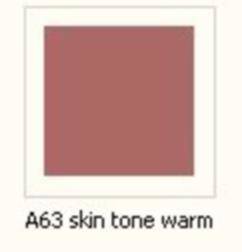 Farba Pactra A063 Skine Tone Warm Tint