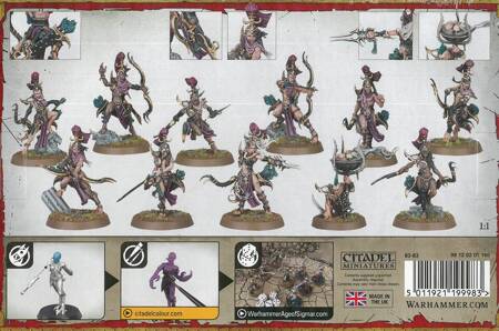 Hedonites of Slaanesh Blissbarb Archers