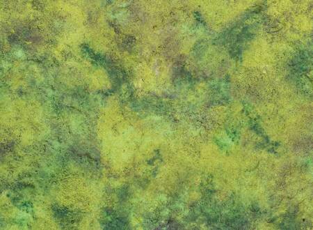 Mapa Kraken Grass Plain 44"x60" 112x152 cm