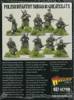 Bolt Action Polish Infantry Squad in greatcoats