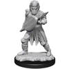 D&D Human Male Fighter - Nolzur's Miniature