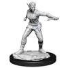 D&D Shifter Female Rogue - Nolzur's Miniature