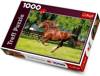 Puzzle 1000 Galop (Trefl)