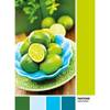 Puzzle 1000 el. Pantone Juicy Limes (Clementoni)