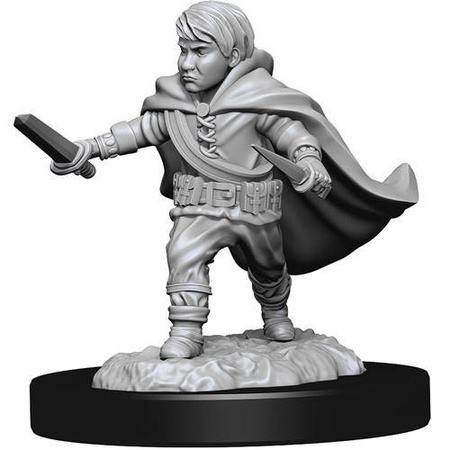 D&D Halfling Male Rogue - Nolzur's Miniature