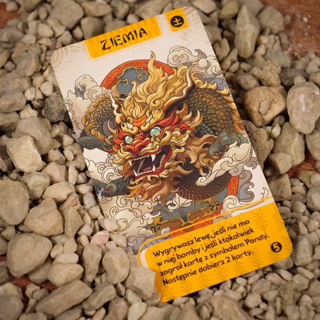 Panda Spin Gra karciana