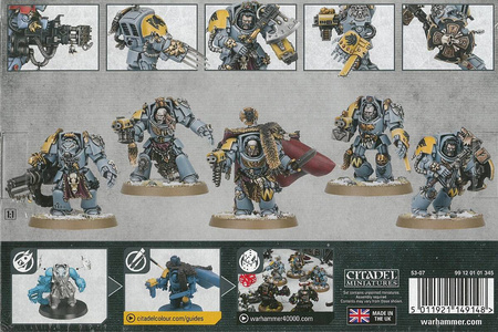 Space Wolves Wolf Guard Terminators