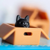 Smart Games Kotełki (Cats & Boxes)