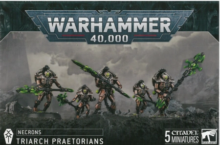 Necrons Triarch Praetorians / Lychguard