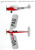 Model kartonowy RWD-8 'VQ-PAG'