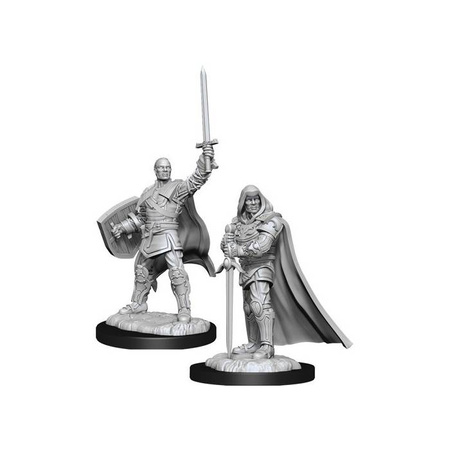 D&D Human Male Paladin - Nolzur's Miniature