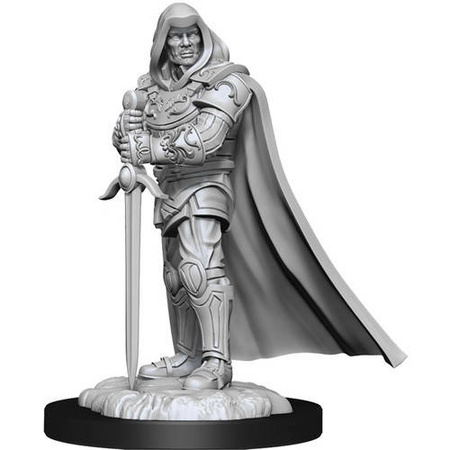 D&D Human Male Paladin - Nolzur's Miniature