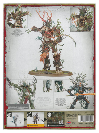 Sylvaneth Treelord / Spirit of Durthu