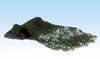 Listowie drzew iglastych - Conifer Green