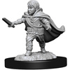 D&D Halfling Male Rogue - Nolzur's Miniature