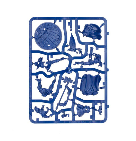 Warcry Crypt of Blood Starter Set