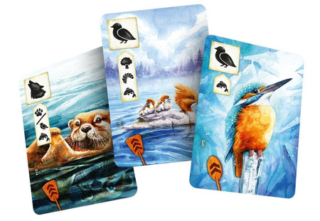 Łąka: Z biegiem strumienia + karta promocyjna