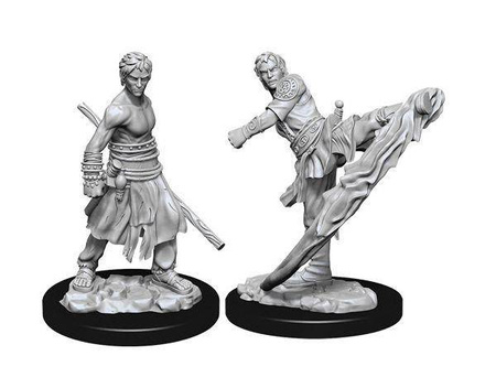 D&D Male Half-Elf Monk - Nolzur's Miniature