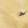 AK-8020 Terrains - Desert Sand - Diorama Series