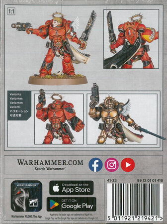 Blood Angels Captain