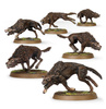 Middle-Earth SBG Fell Wargs